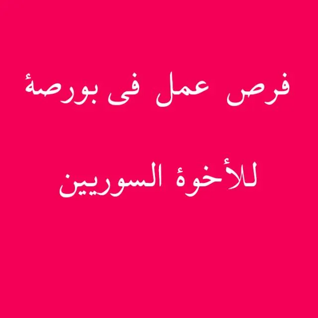 فرص عمل في بورصة 1️⃣ - مجموعة واتساب