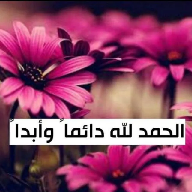 بكرا أحلي ❤️ اغراض مختلفة - مجموعة واتساب