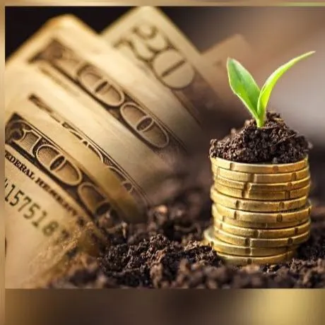 6Money and Business - مجموعة واتساب