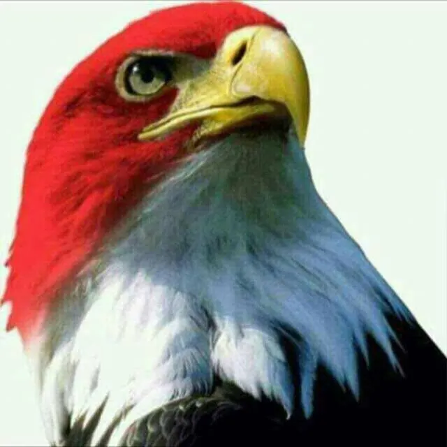 تجارة ١ - مجموعة واتساب