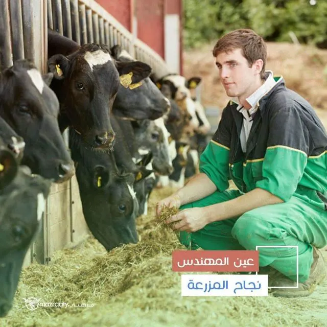 Animal Production - مجموعة واتساب