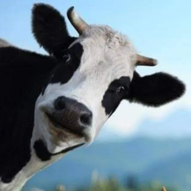 انشاء واداره استثمار - مجموعة واتساب