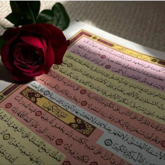 نبض الحياه