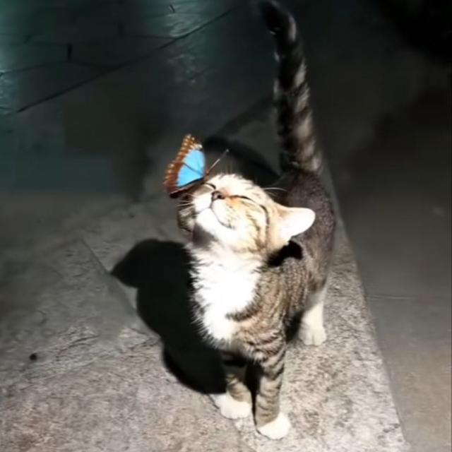 عــائـلية يــونــس ⤹•