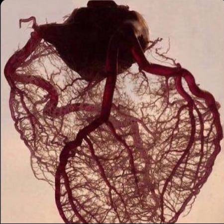 عبارات ممطرة️:)