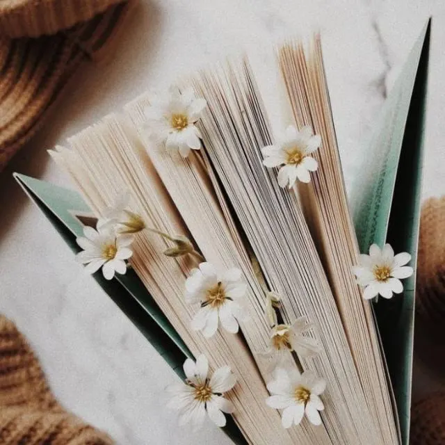 إقتباسات وأشعار